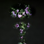 Fot. Weronika Banaszczyk