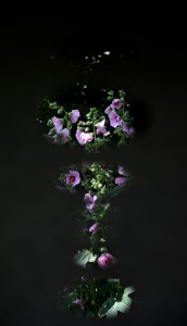 Fot. Weronika Banaszczyk