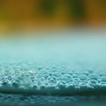 Fot. Agnieszka Stafiej