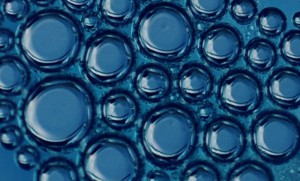 Fot. Agnieszka Stafiej