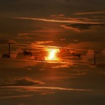 Fot. Agnieszka Stafiej