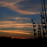 Fot. Agnieszka Stafiej