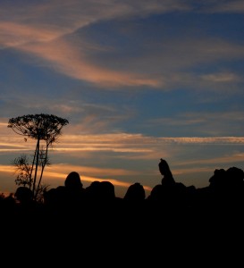 Fot. Agnieszka Stafiej