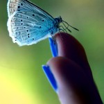 Fot. Agnieszka Stafiej