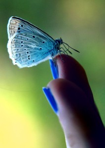 Fot. Agnieszka Stafiej