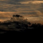 Fot. Agnieszka Stafiej