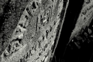 Fot. Alicja Pietkiewicz