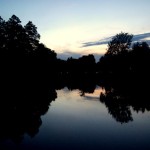 Fot. Alicja Pietkiewicz