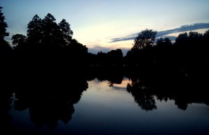 Fot. Alicja Pietkiewicz