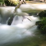 Fot. Bartek Wilczyński