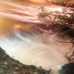 Fot. Małgorzata Giera