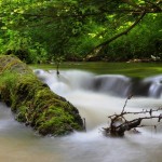Fot. Małgorzata Giera