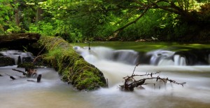 Fot. Małgorzata Giera