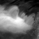 Fot. Małgorzata Giera