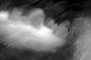 Fot. Małgorzata Giera