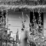 Fot. Karolina Meller