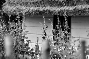 Fot. Karolina Meller