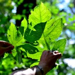 Fot. Karolina Meller