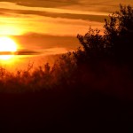 Fot. Karolina Meller