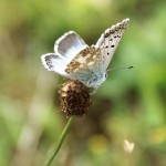 Fot. Karolina Zając