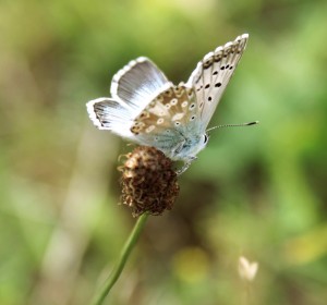 Fot. Karolina Zając