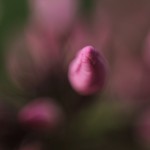 Fot. Karolina Zając