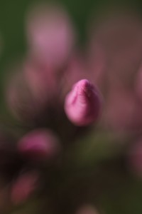 Fot. Karolina Zając