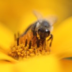 Fot. Karolina Zając