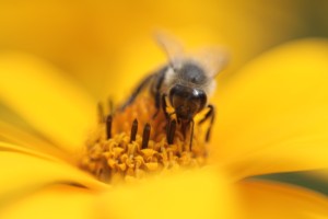 Fot. Karolina Zając