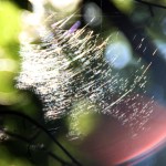 Fot. Katarzyna Makowiecka