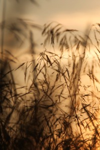 Fot. Katarzyna Makowiecka