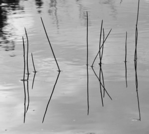 Fot. Katarzyna Makowiecka