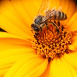 Fot. Katarzyna Makowiecka