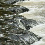 Fot. Miguel Fernandez