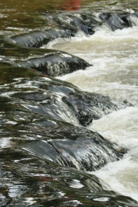 Fot. Miguel Fernandez