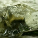 Fot. Miguel Fernandez