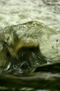 Fot. Miguel Fernandez