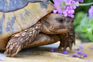 Fot. Marek Pochylski