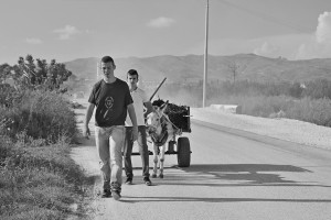 Fot. Marek Pochylski