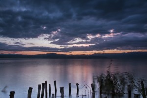 Fot. Marek Pochylski