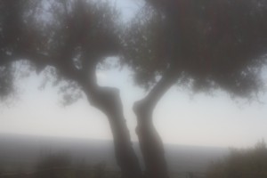 Fot. Adam Szczeniowski