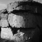 Fot. Justyna Sierakowska