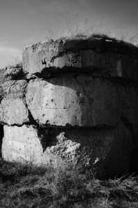 Fot. Justyna Sierakowska