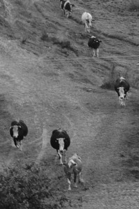 Fot. Justyna Sierakowska