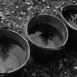 Fot. Justyna Sierakowska