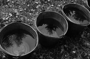 Fot. Justyna Sierakowska