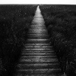 Fot. Justyna Sierakowska