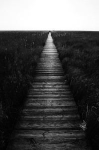 Fot. Justyna Sierakowska