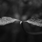 Fot. Justyna Sierakowska