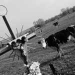 Fot. Justyna Sierakowska